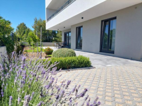 Apartman Zlata